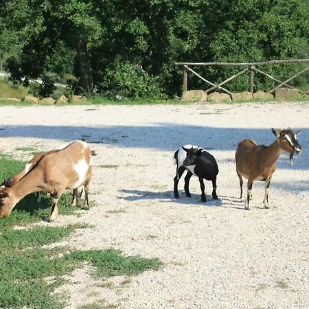 Agriturismo Sant'Angelo-2